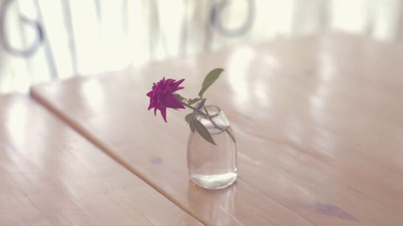Single Purple Flower — Serene