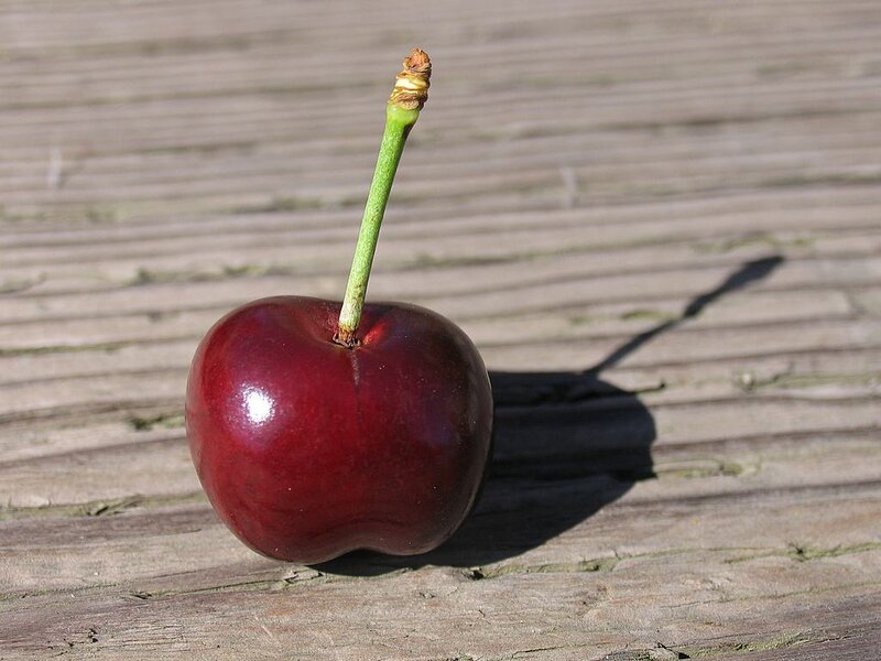 Single Red Cherry — Natural, Afternoon