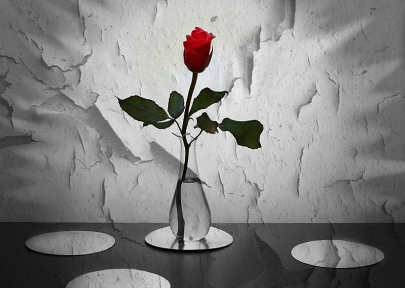 Single Red Rose — Dramatic, Photograph, Vase