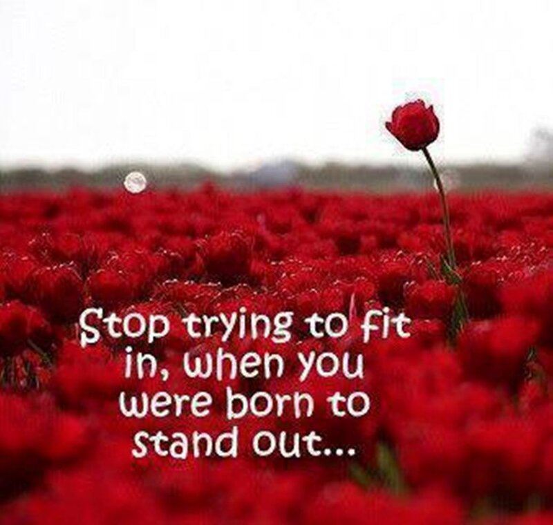 Single Red Rose — Inspirational