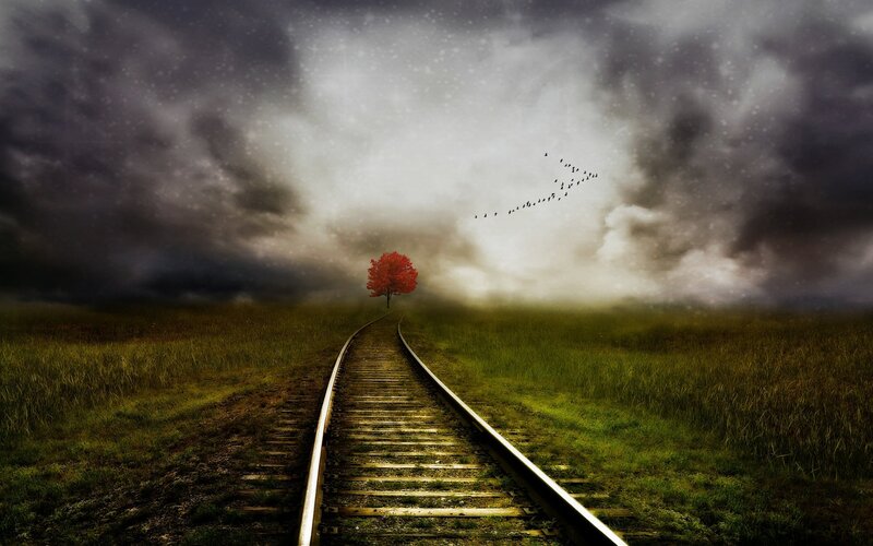Single Red Tree on Tracks