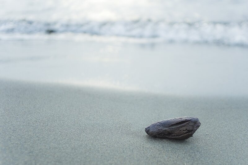 single rock on beach