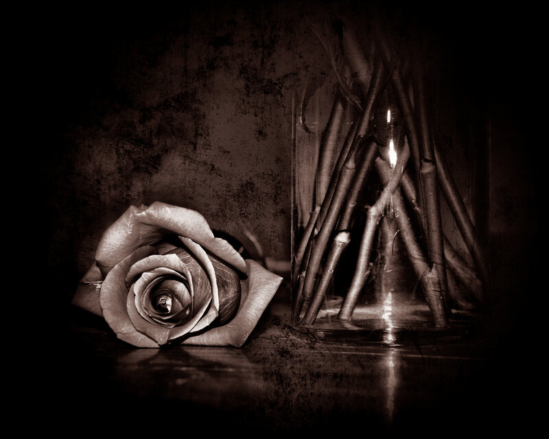 Single Rose in Vase