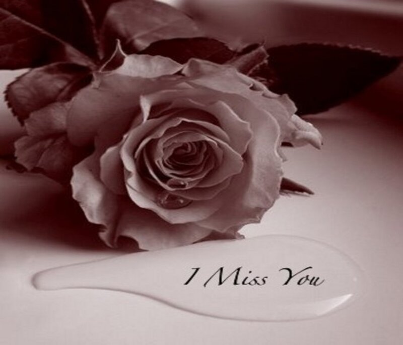 Single Rose with Text