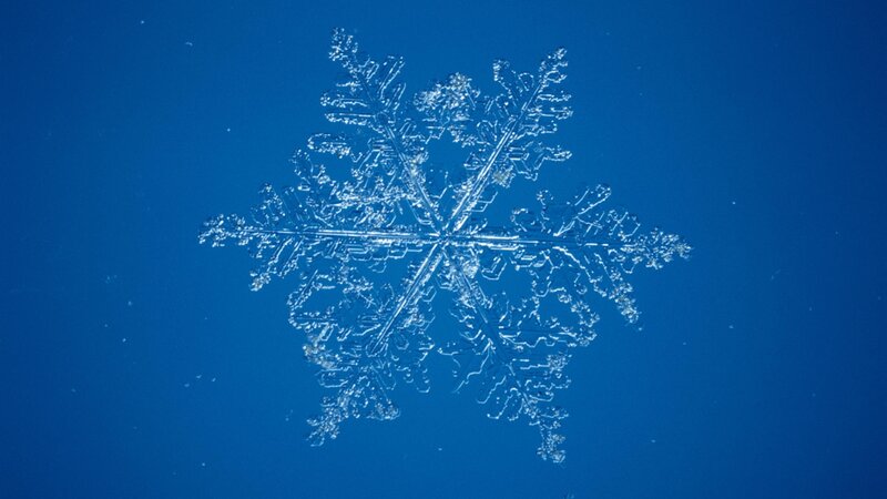 Single Snowflake — Blue, Calm