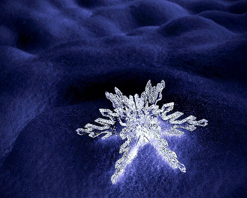 Single Snowflake on Dark Surface