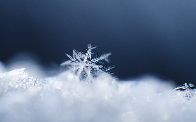 Single Snowflake on Snow