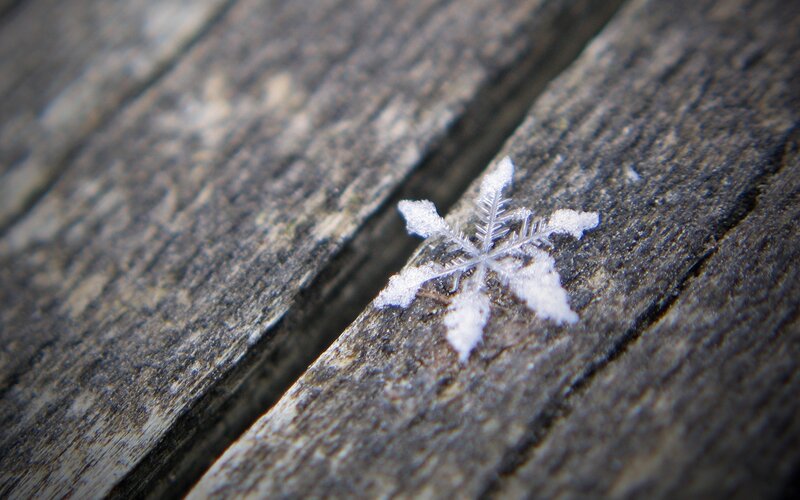 Single snowflake on wood