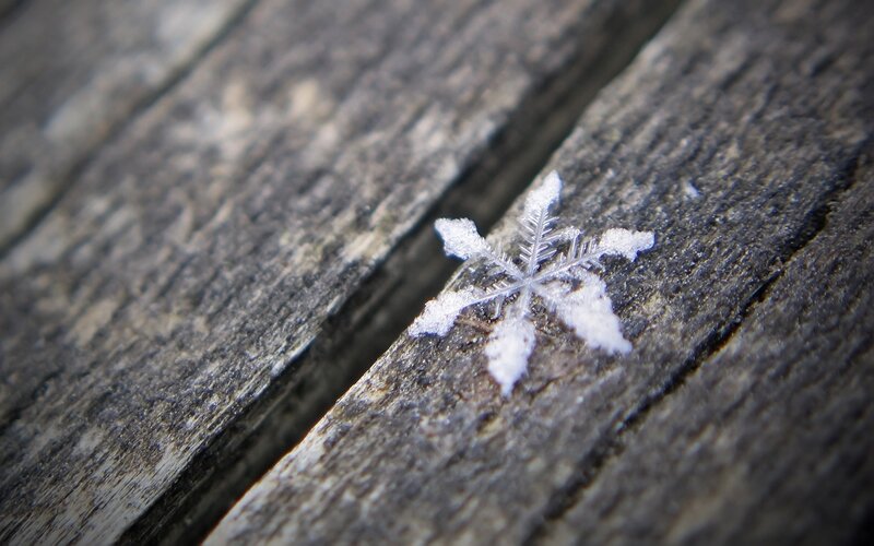 Single Snowflake on Wood — White