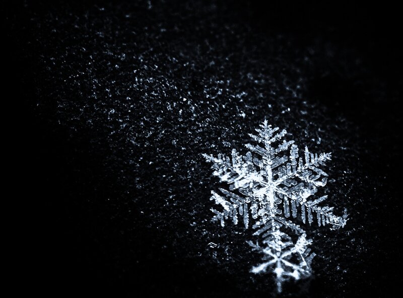 Single Snowflake