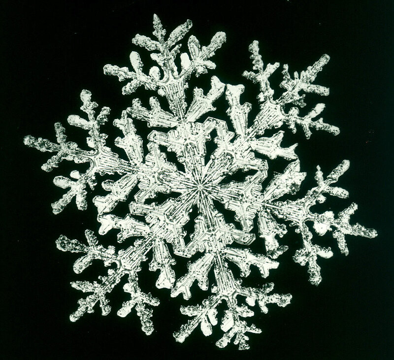 Single Snowflake — White, Calm, Photograph