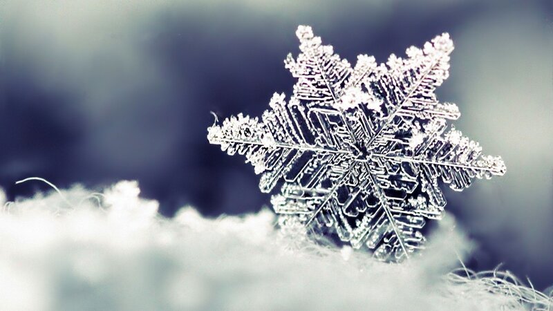Single Snowflake — White, Cold