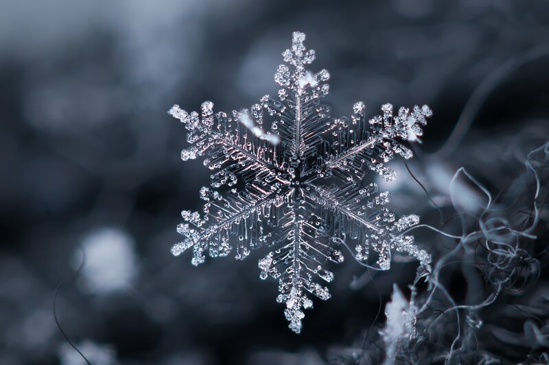 Single Snowflake — White, Cold, Winter, Photograph
