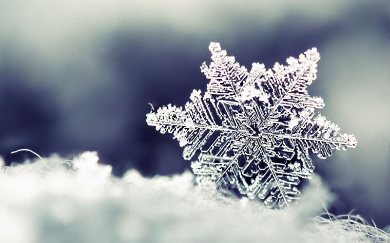 Single Snowflake — White, Cold, Winter