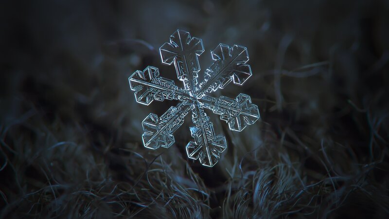 Single Snowflake — White, Dramatic