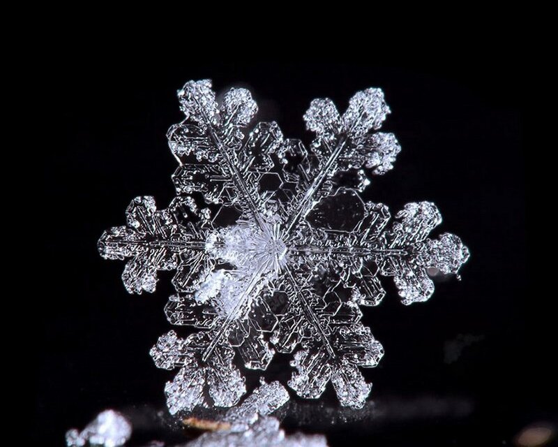 Single Snowflake — White