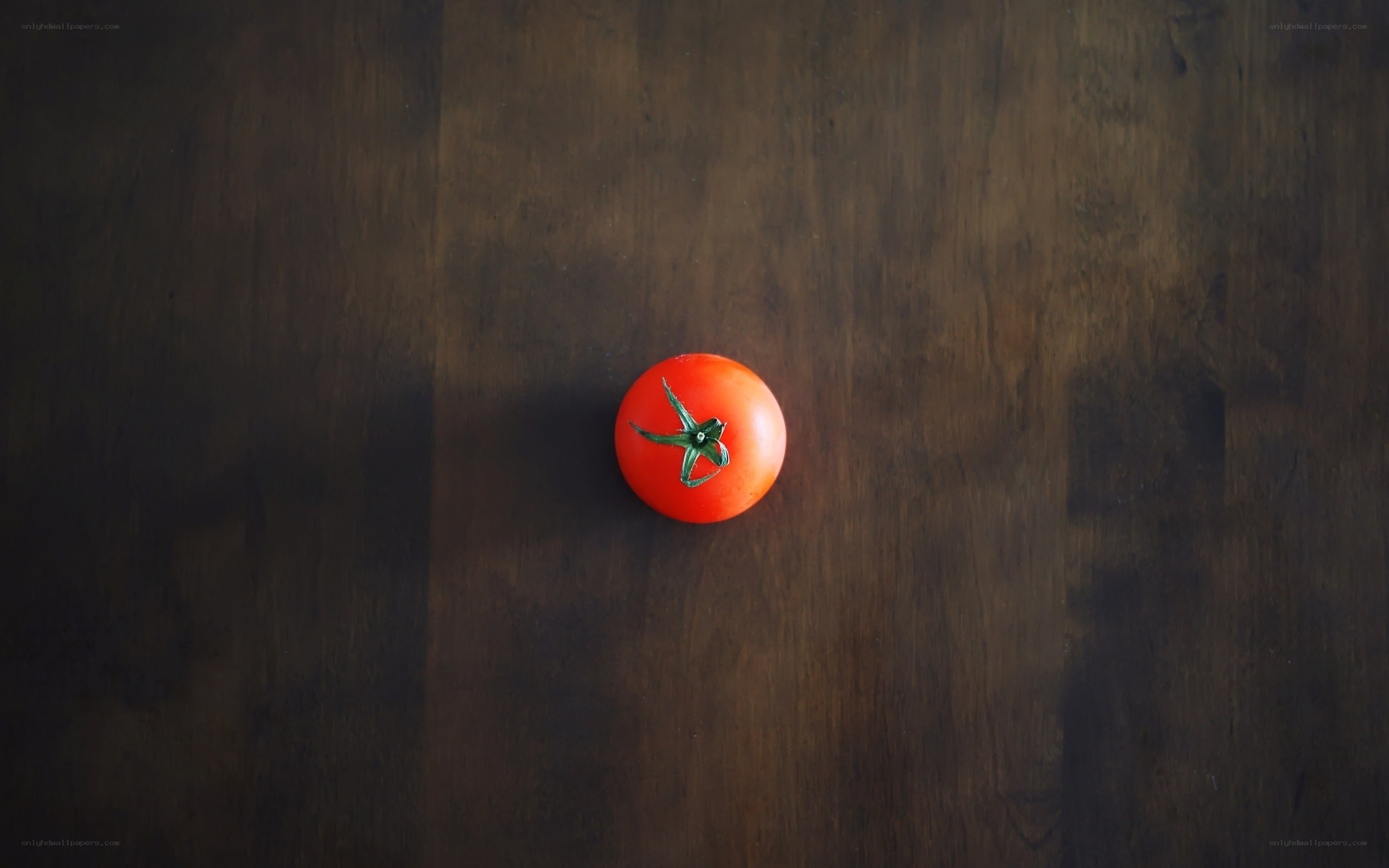 Single tomato on wooden surface