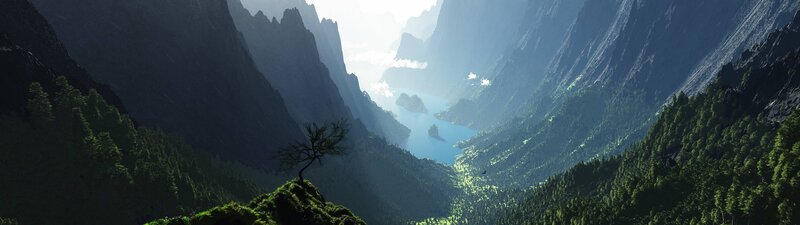 Single Tree in Canyon