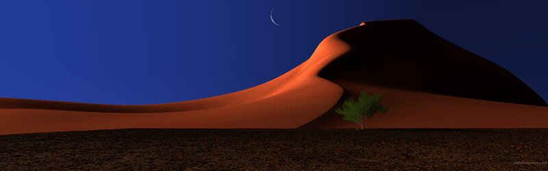 Single Tree in Desert — Blue