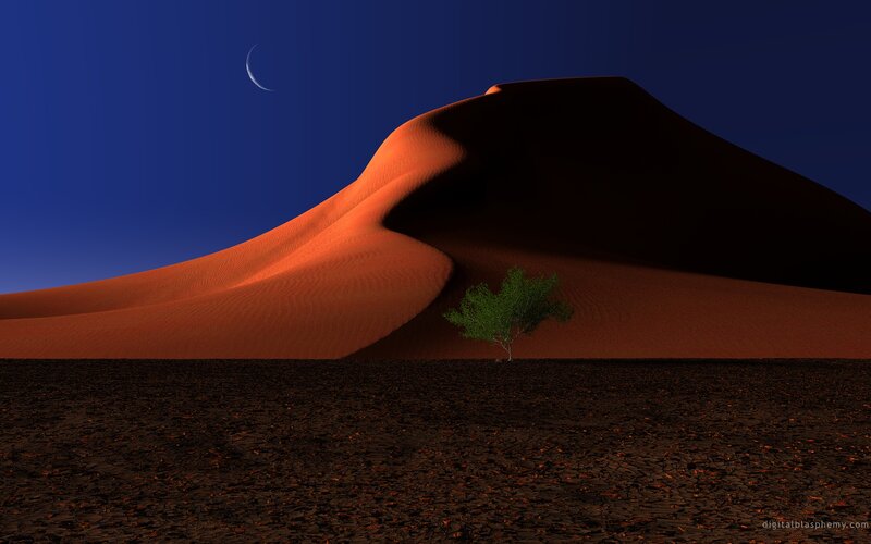 Single Tree in Desert — Orange, Serene