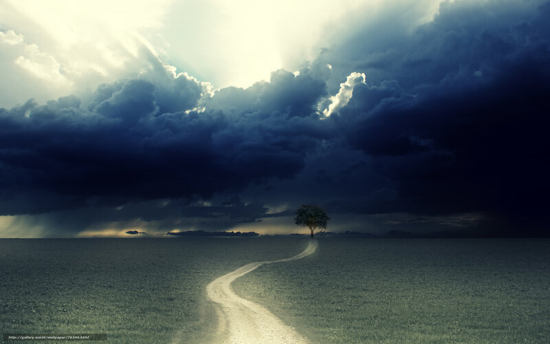 Single Tree in Field — Blue, Dramatic, Afternoon, Digital Art