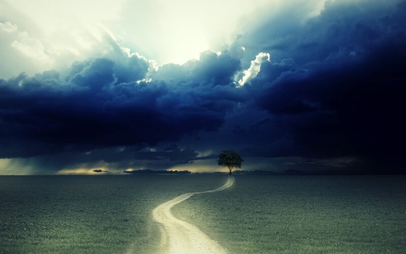 Single Tree in Field — Blue, Dramatic, Afternoon, Photograph