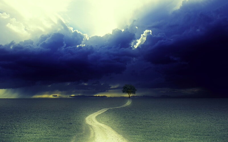 Single Tree in Field — Blue, Dramatic, Afternoon