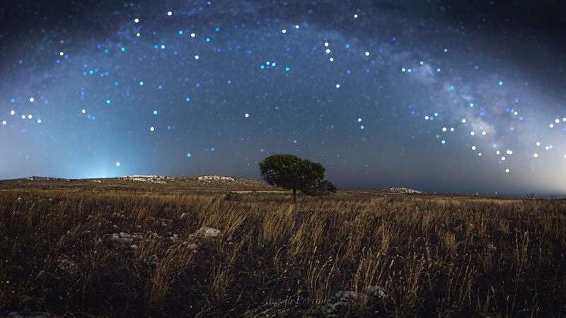 Single Tree in Field — Blue, Serene, Night