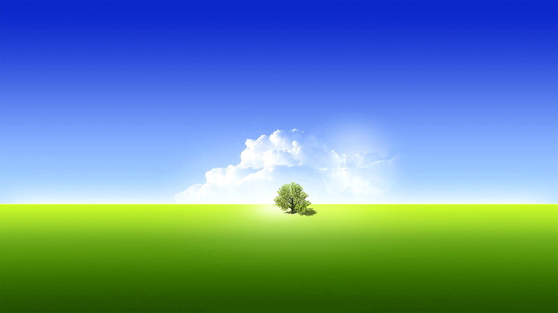 Single Tree in Field — Blue