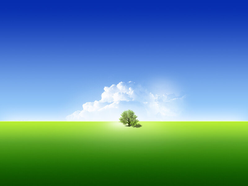 Single Tree in Field — Green, Serene, Afternoon, Digital Art