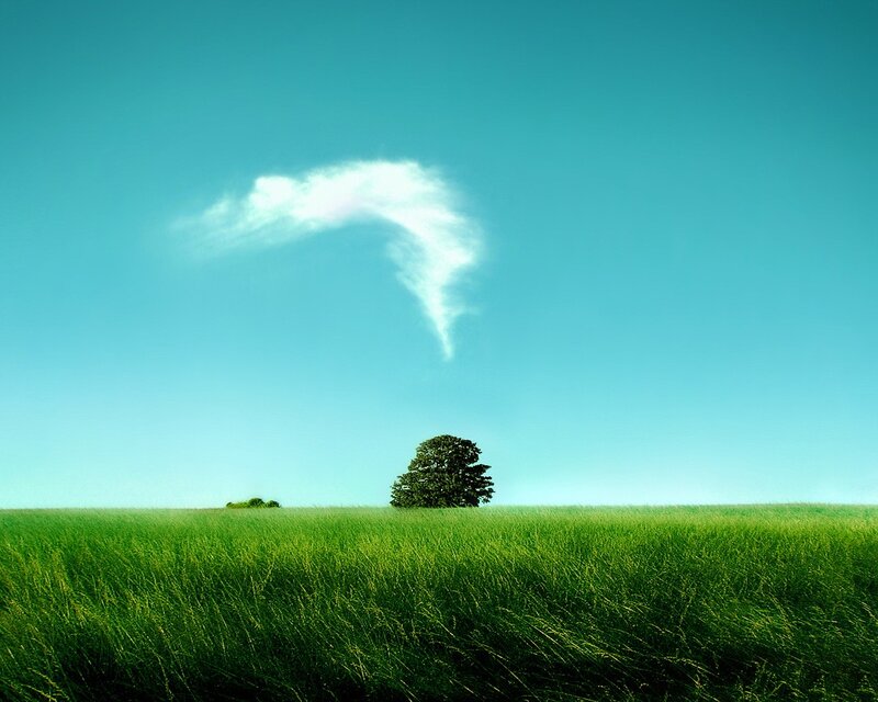 Single Tree in Field — Green, Serene, Afternoon, Photograph, Cloud