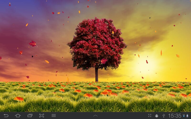 Single Tree in Field — Green, Serene, Sunset