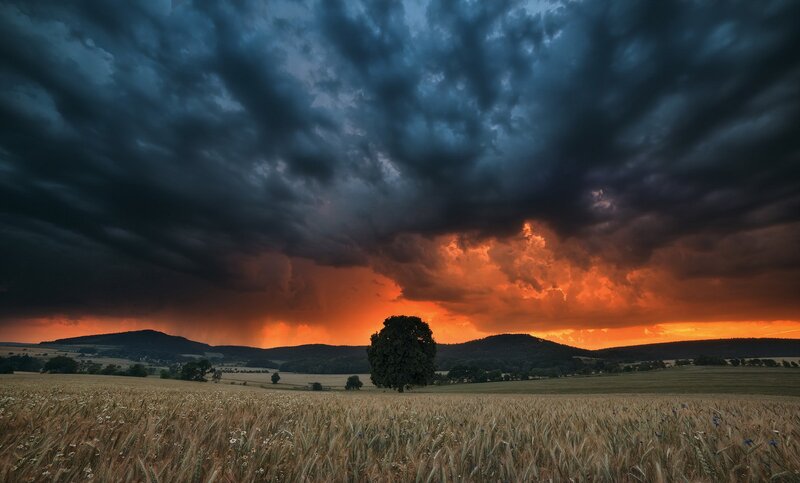 Single Tree in Field — Orange, Dramatic, Sunset