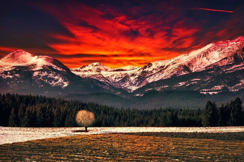 Single Tree in Field — Red, Dramatic, Sunset