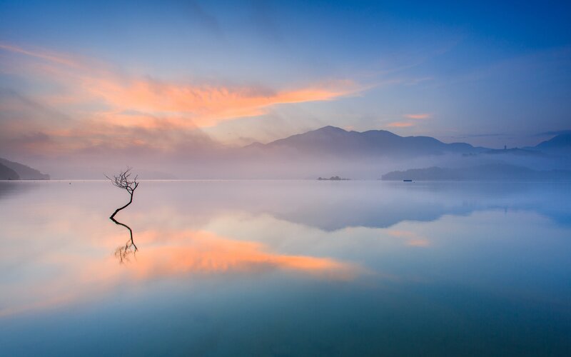 Single Tree in Lake — Blue, Serene, Sunrise