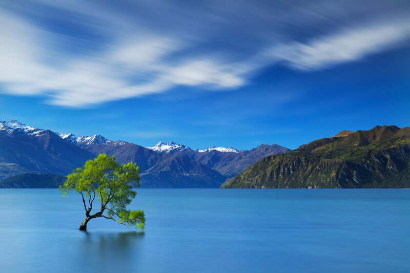 Single Tree in Lake — Blue