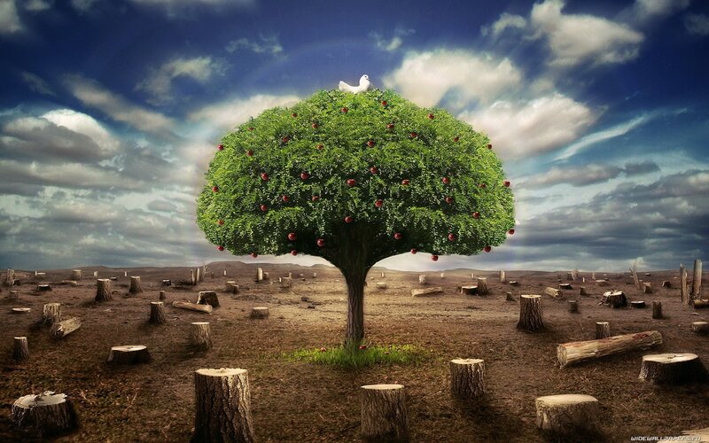 Single Tree in Wasteland — Green, Dramatic