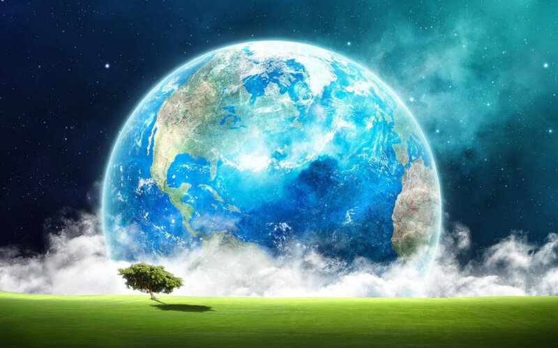 Single Tree on Green Field — Serene, Night