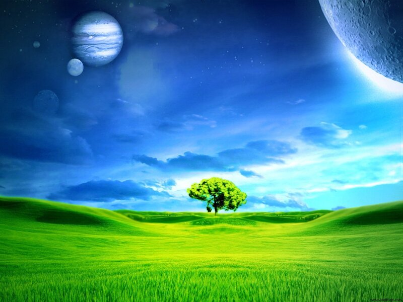 Single Tree on Green Hill — Serene, Night