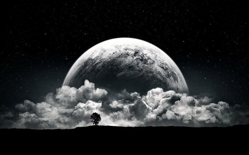 Single Tree on Hill — Black