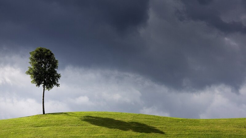 Single Tree on Hill — Green, Dramatic, Afternoon, Photograph, Clouds, Gray, White