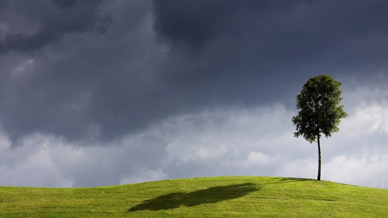 Single Tree on Hill — Green, Dramatic, Afternoon, Photograph, Clouds