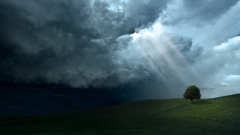 Single Tree on Hill — Green, Dramatic, Digital Art