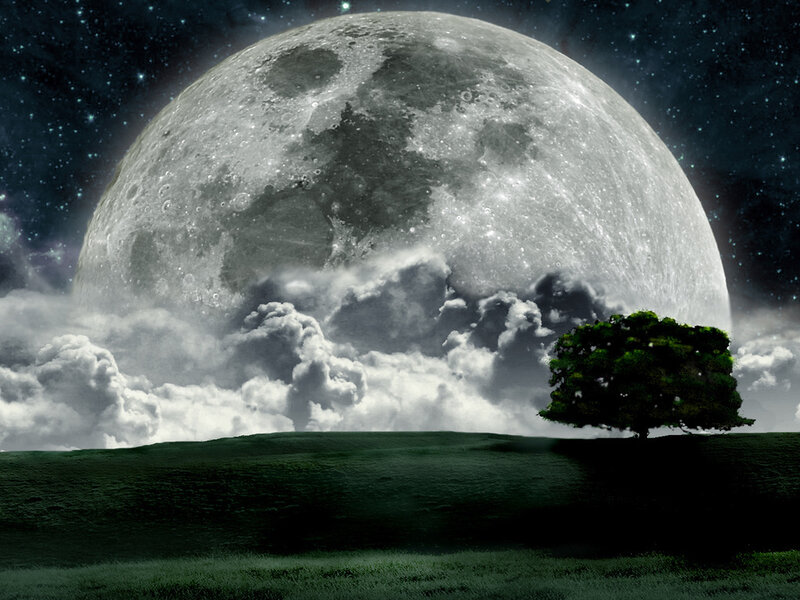 Single Tree on Hill — Green, Dramatic, Night
