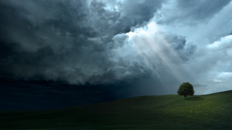 Single Tree on Hill — Green, Dramatic, Photograph, Clouds, Sunbeams