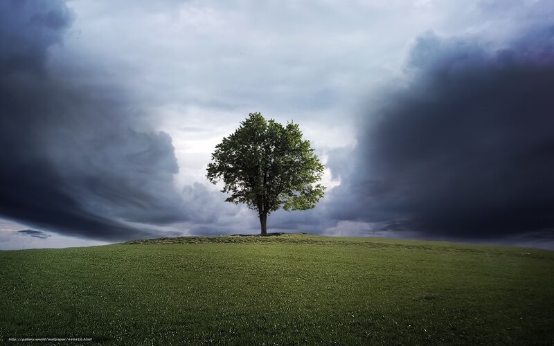 Single Tree on Hill — Green, Dramatic, Photograph, Clouds