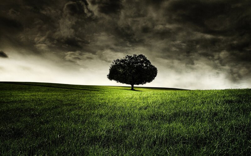 Single Tree on Hill — Green, Dramatic, Photograph, Field, Sky, Clouds, Black, Gray