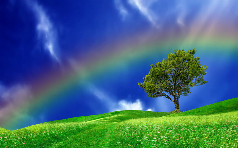 Single Tree on Hill — Green, Serene, Afternoon, Digital Art, Rainbow, Clouds