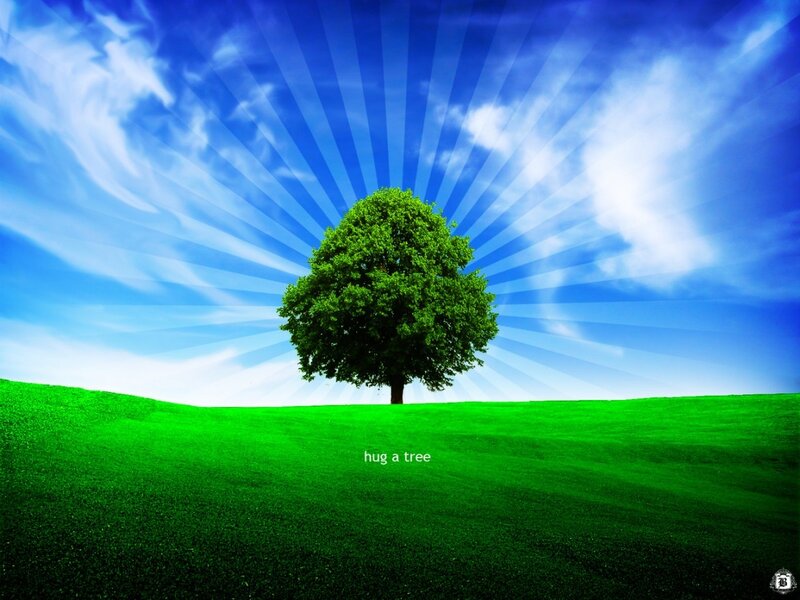 Single Tree on Hill — Green, Serene, Afternoon, Digital Art