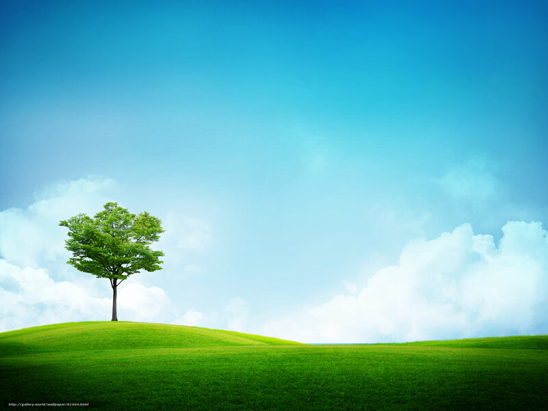 Single Tree on Hill — Green, Serene, Afternoon, Photograph, Sky, Clouds